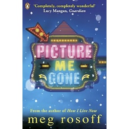 Picture Me Gone