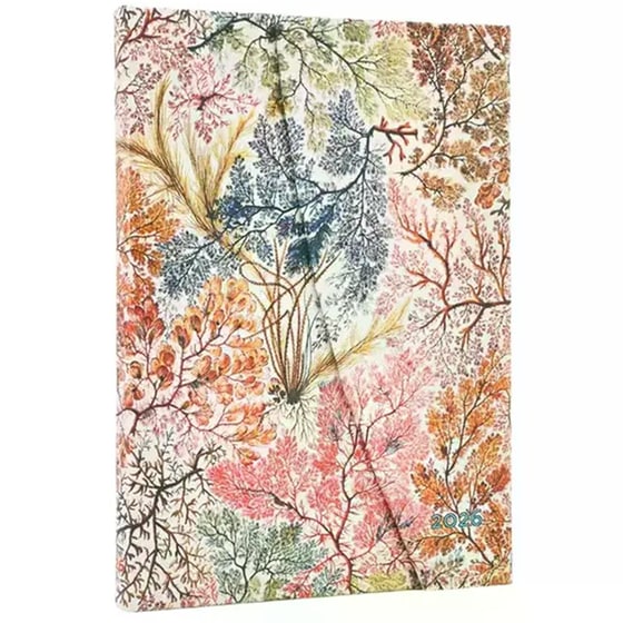 Ημερολόγιο Εβδομαδιαίο Paperblanks 2026 Midi Anemone image 0