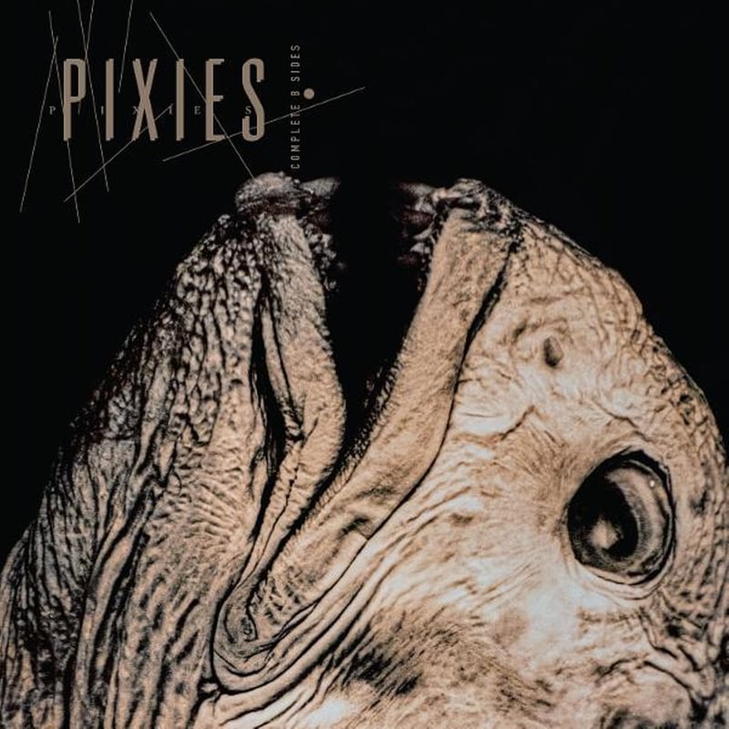Complete B-Sides 1988-1997 (+6 Bonus Tracks)