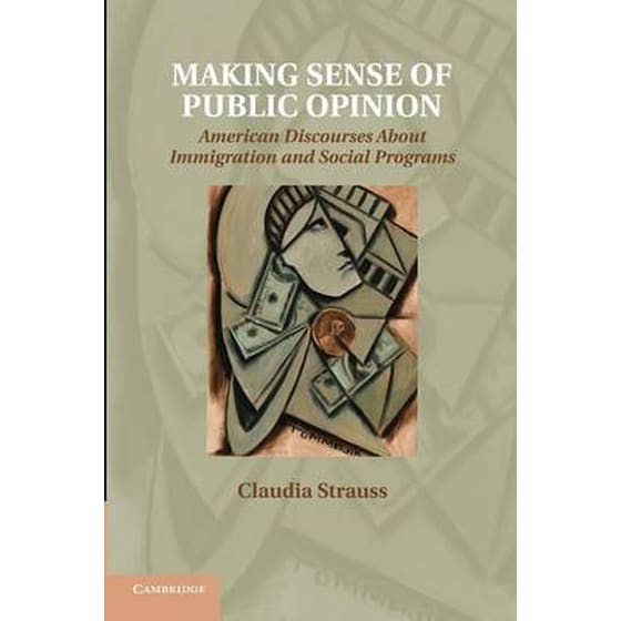 Making Sense of Public Opinion image 0