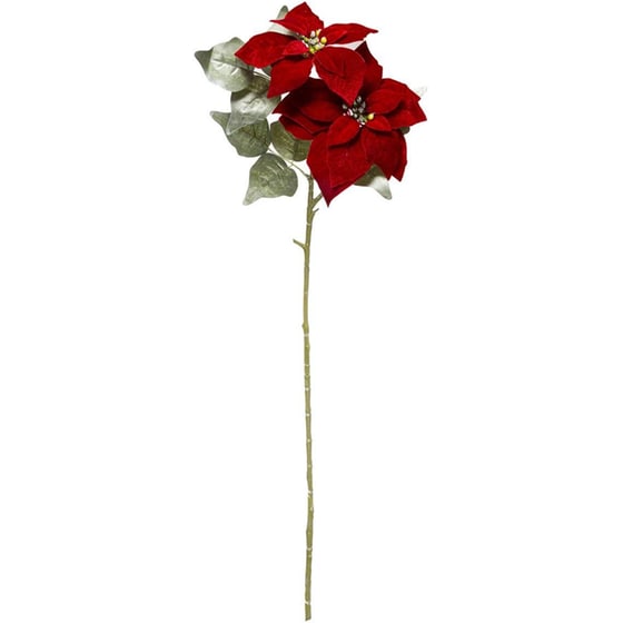 Χριστουγεννιάτικο Λουλούδι SpitiShop Poinsettia image 0