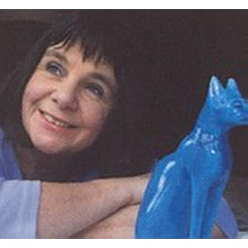 Author picture
