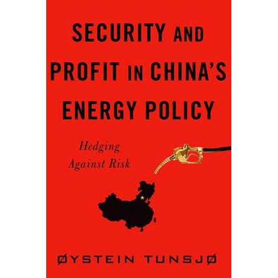 Security and Profit in China's Energy Policy image 0