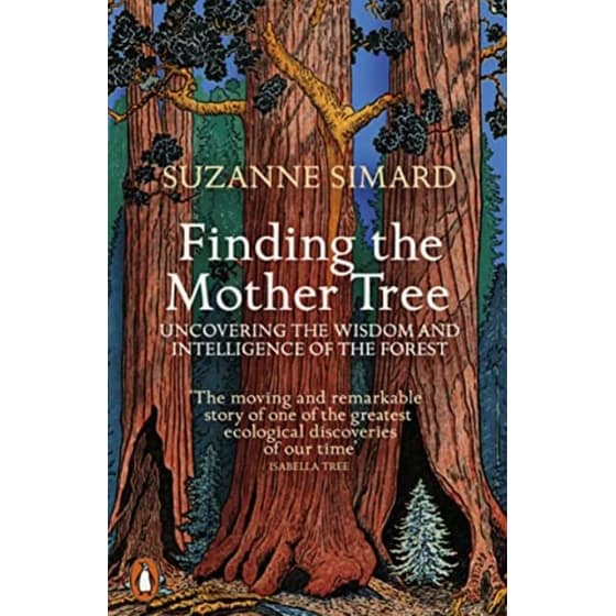 Finding the Mother Tree image 0