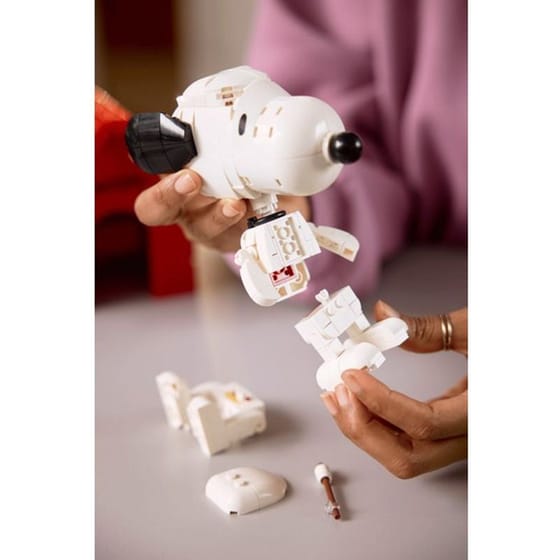 LEGO® Ideas Peanuts: Snoopy's Doghouse (21368) image 12