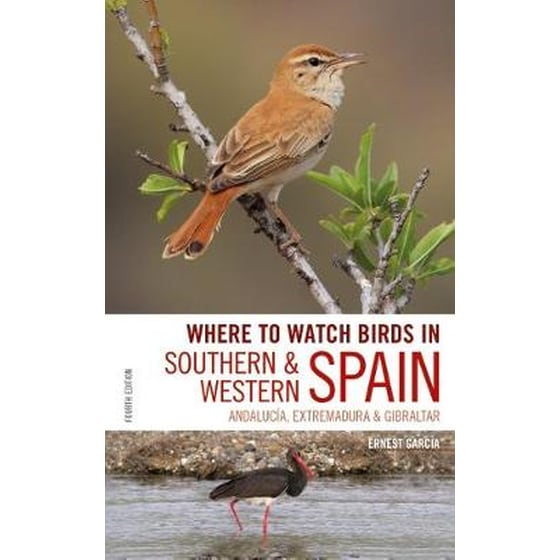 Where to Watch Birds in Southern and Western Spain image 0