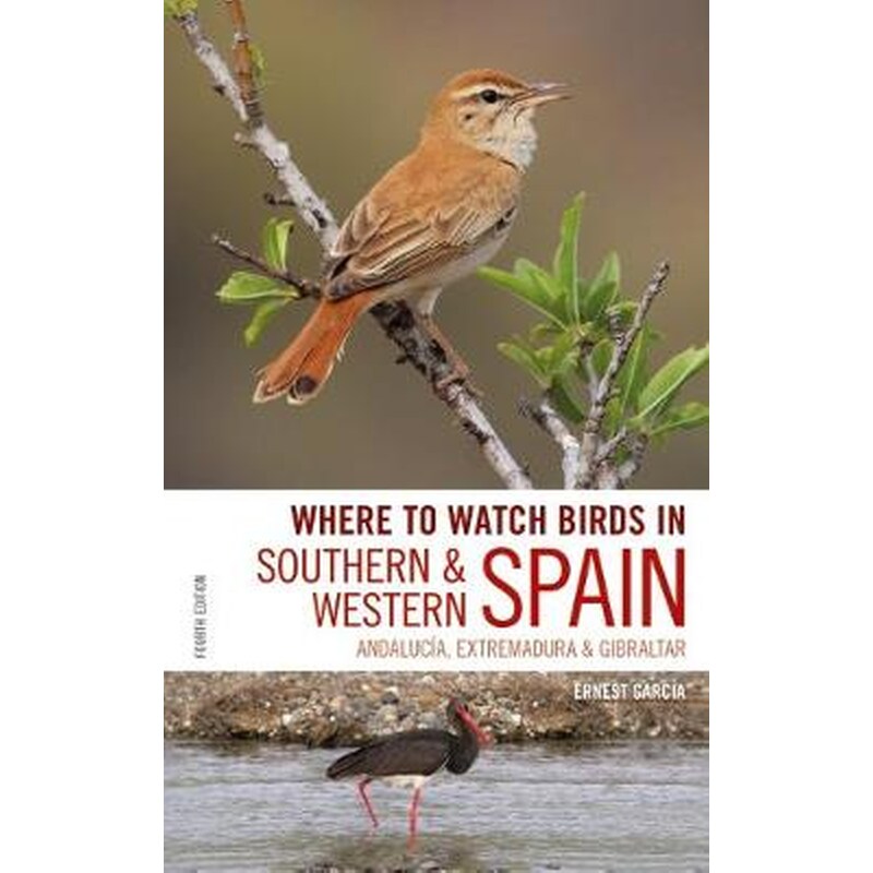 Where to Watch Birds in Southern and Western Spain