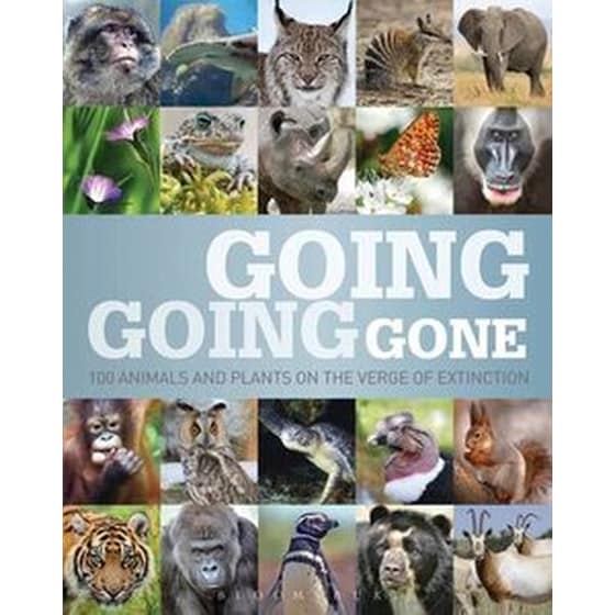 Going, Going, Gone image 0