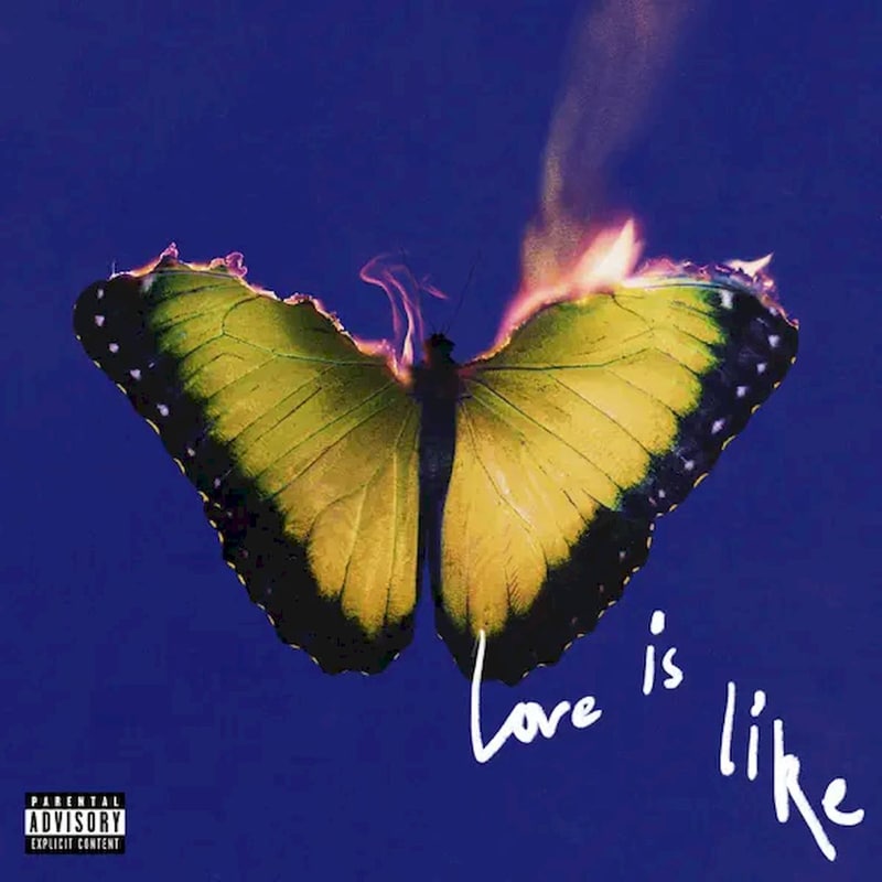 Love Is Like (LP Colored)