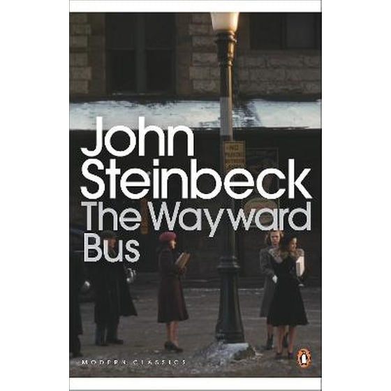 The Wayward Bus image 0