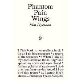 Phantom Pain Wings