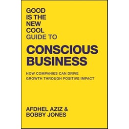 Good Is the New Cool Guide to Conscious Business