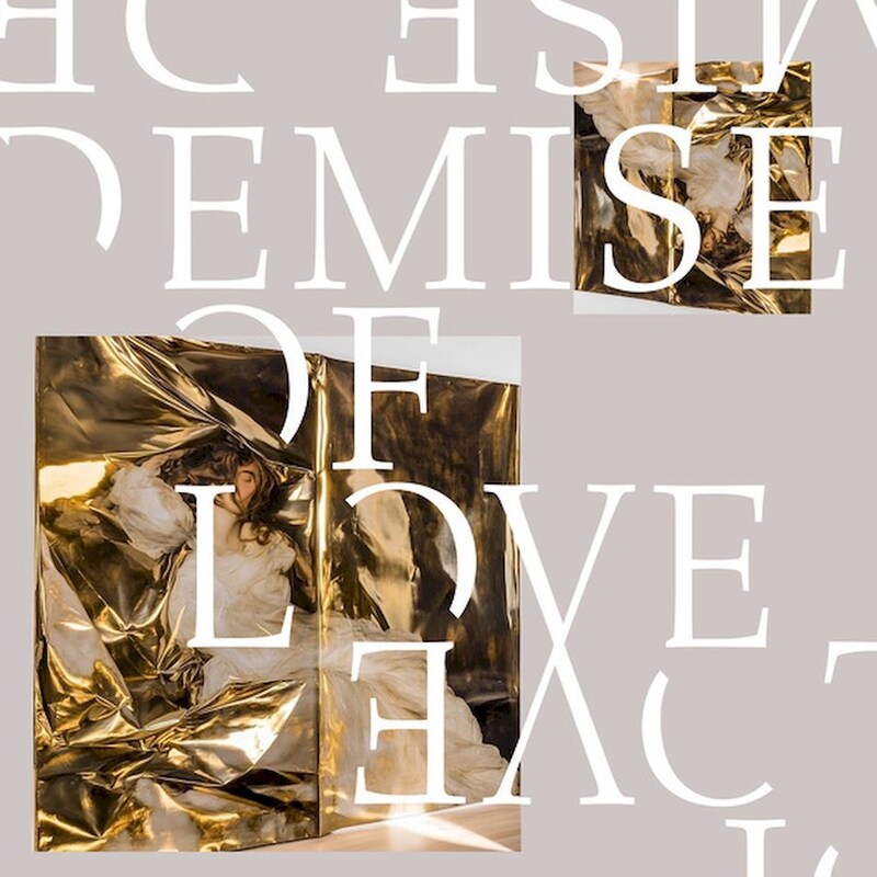 Demise Of Love (LP 10)