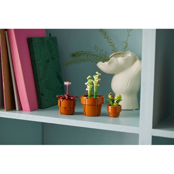 LEGO® Icons Tiny Plants (10329) image 14