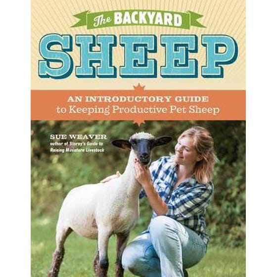 Backyard Sheep image 0