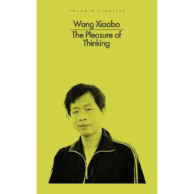 Pleasure of Thinking