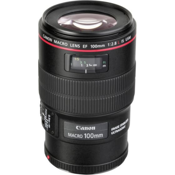 Canon EF 100mm f/1-2.8 L Macro IS USM - Canon DSLR Lens image 3