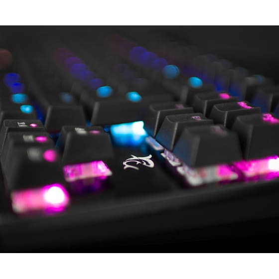 White Shark Spartan Gaming Μηχανικό Ενσύρματο Πληκτρολόγιο Tenkeyless με Outemu Blue διακόπτες LED φωτισμό Μαύρο image 6