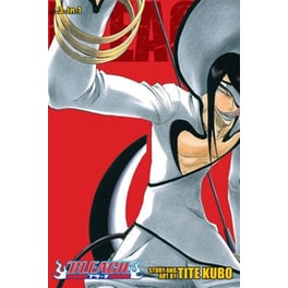 Bleach (3-in-1 Edition), Vol. 11