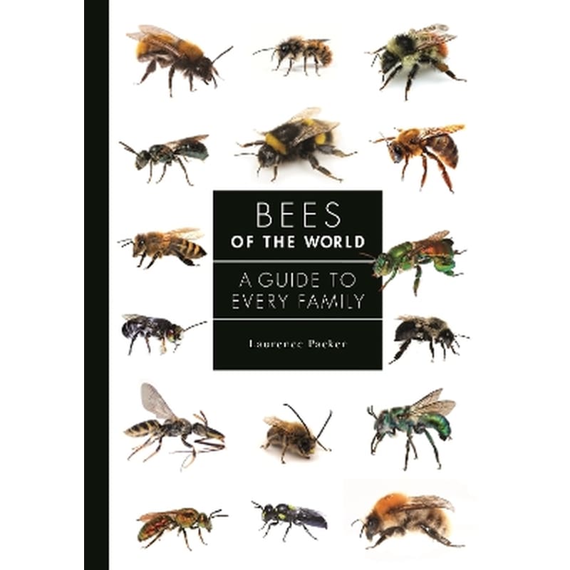 Bees of the World