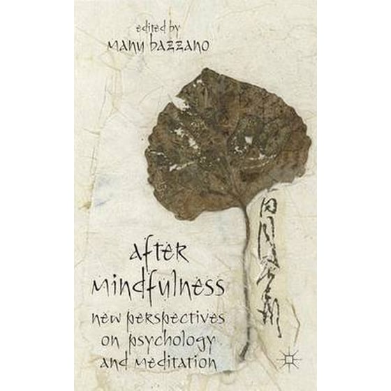 After Mindfulness image 0