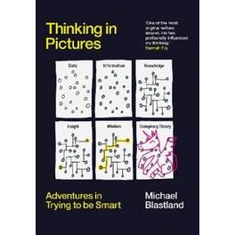 Thinking in Pictures