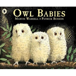 Owl Babies