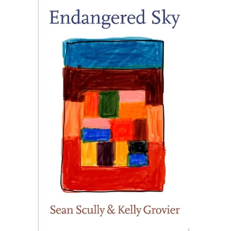 Endangered Sky: Sean Scully Kelly Grovier