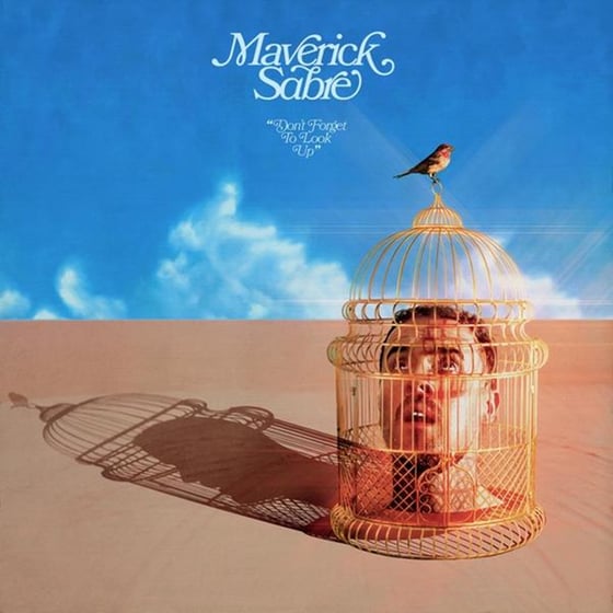 Don't Forget To Look Up (2LP) image 0