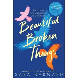 Beautiful Broken Things