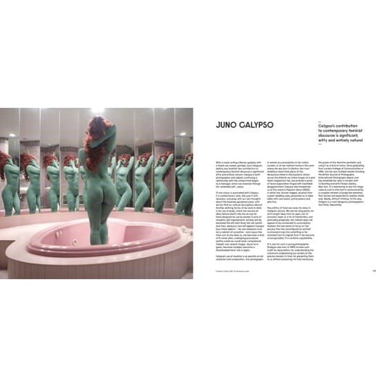 Firecrackers: Female Photographers Now image 2