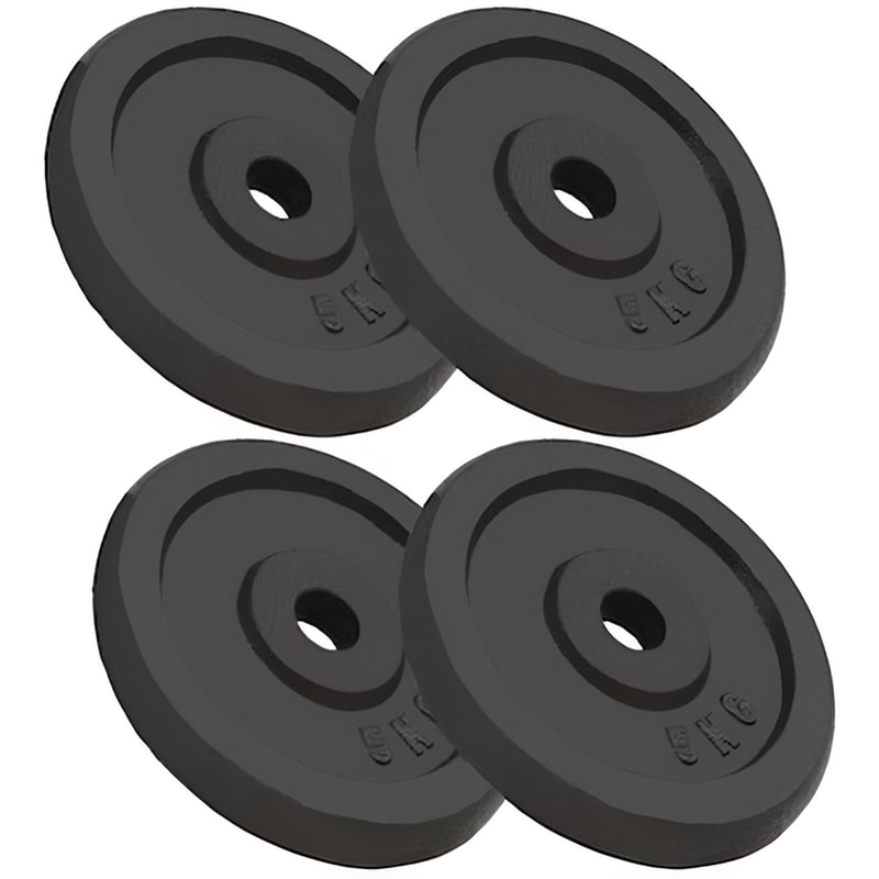 Δίσκοι VidaXL 5 kg για Μπάρα Ø26.5mm (4 Τεμάχια)
