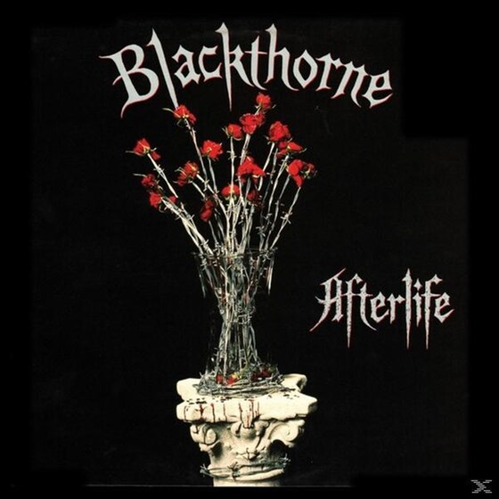 Afterlife (Expanded Edition) image 0