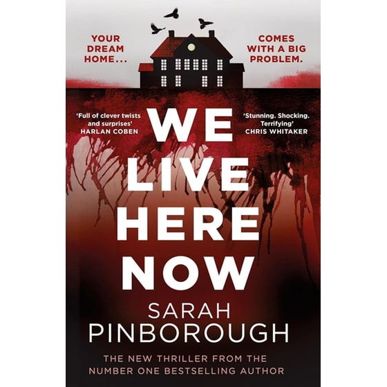 We Live Here Now image 0