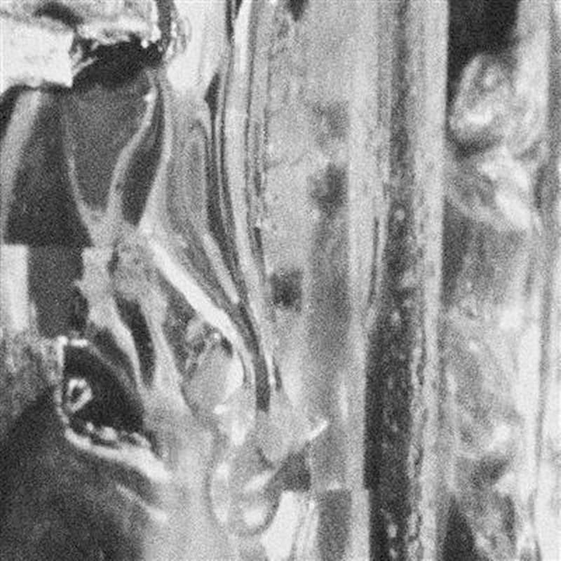 The Day Begins With A Loud Boom (Deluxe LP 10 +Book)