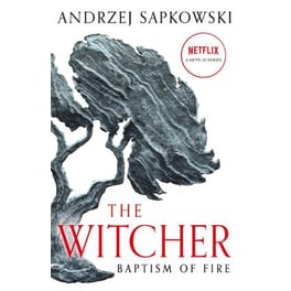 Baptism of Fire - Witcher 3