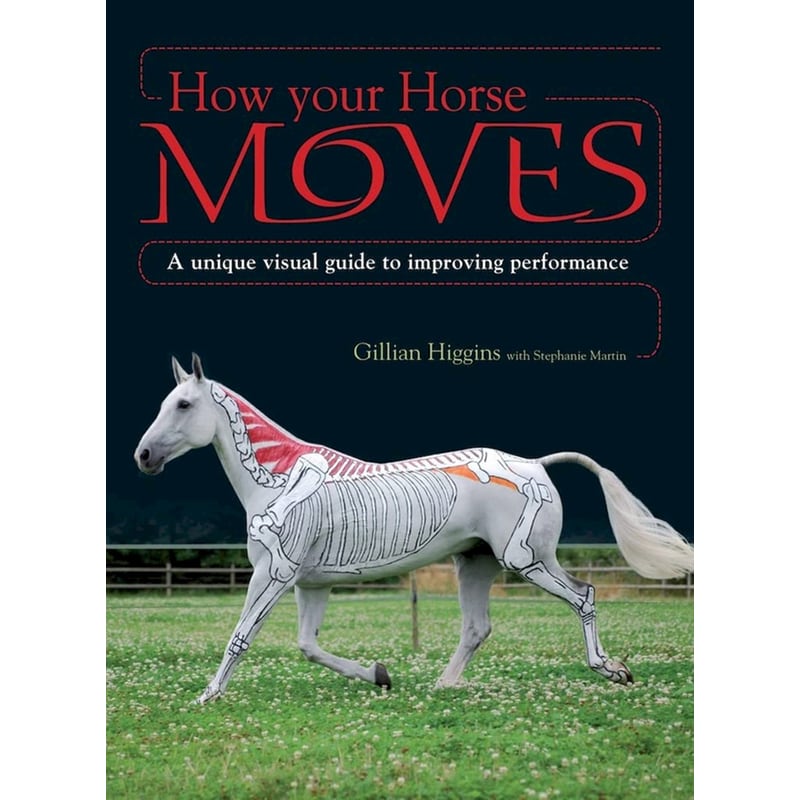 How Your Horse Moves