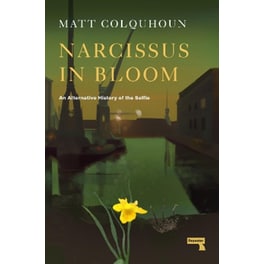 Narcissus in Bloom