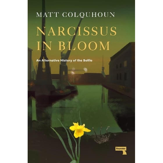 Narcissus in Bloom image 0