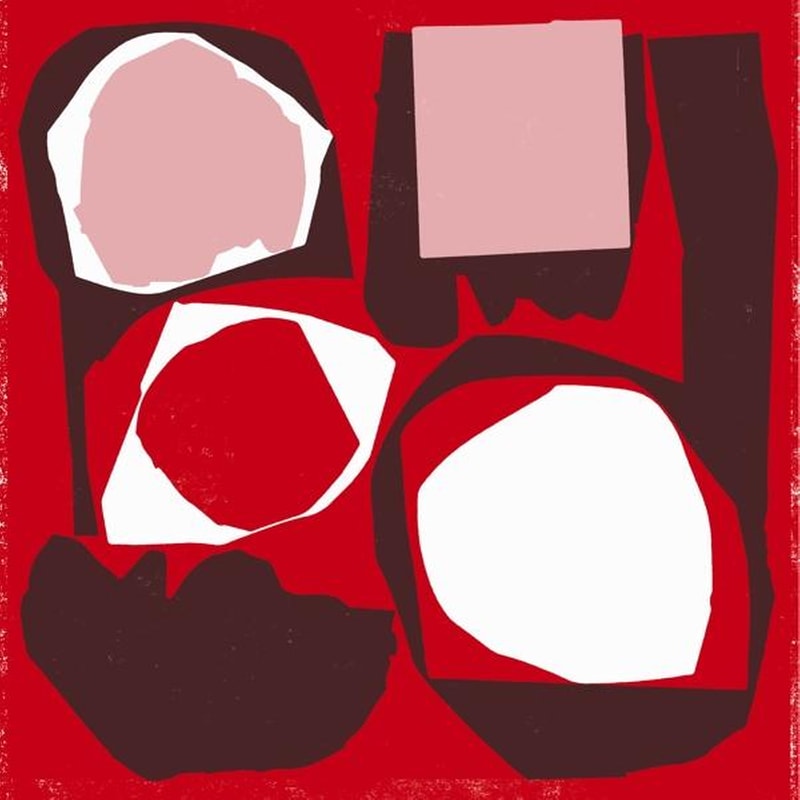 Mr Bongo Record Club 5