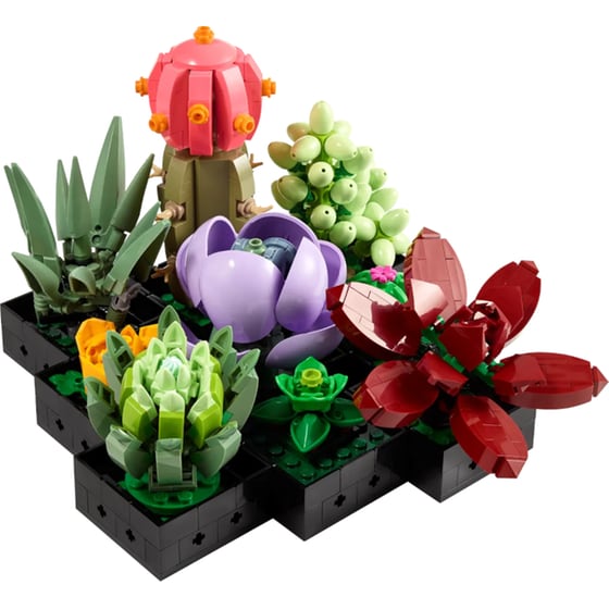 LEGO® Creator Expert Succulents (10309) image 6
