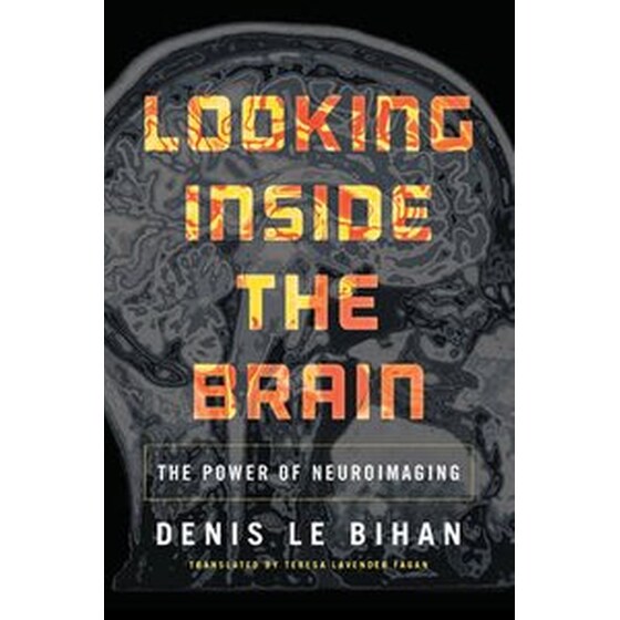 Looking Inside the Brain image 0