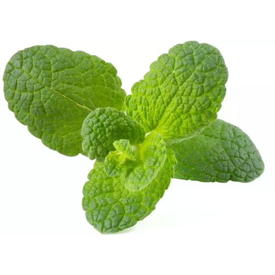 Κάψουλες Click and Grow 3 Τμχ - Μέντα Μήλου image 1