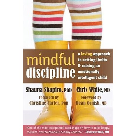 Mindful Discipline image 0