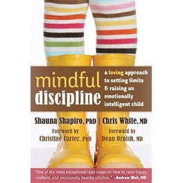 Mindful Discipline