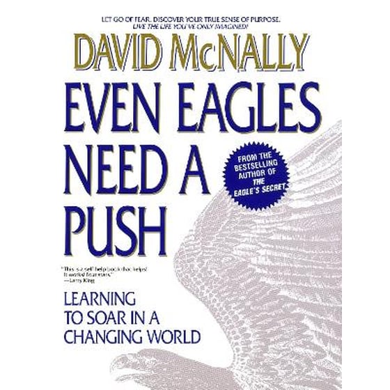 Even Eagles Need a Push image 0