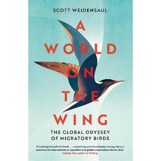 World on the Wing image 0