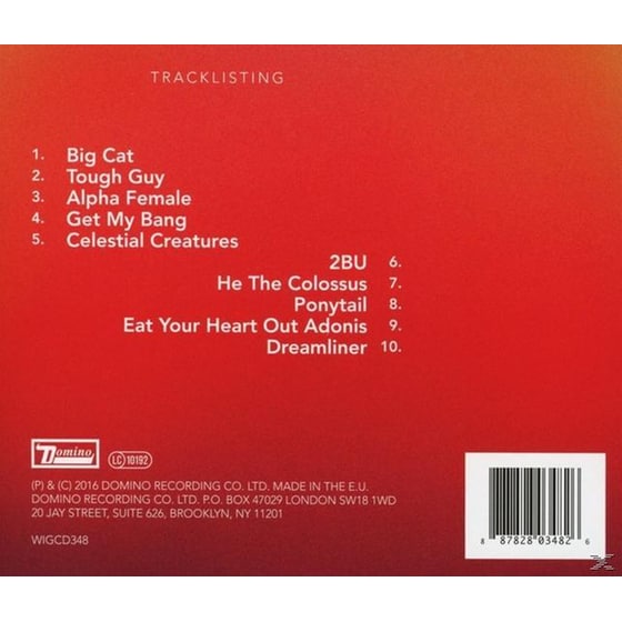 Boy King (Limited Edition) image 4