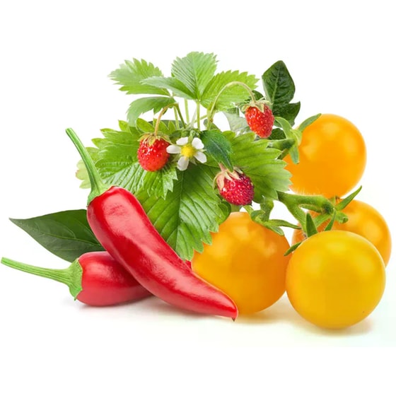 Κάψουλες Click and Grow 9 Τμχ - Mix Φρούτων/Λαχανικών image 1