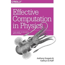 Effective Computation in Physics